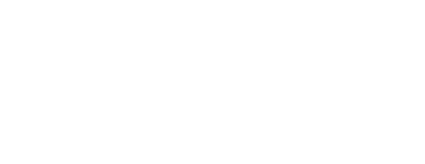 F1 Arcade